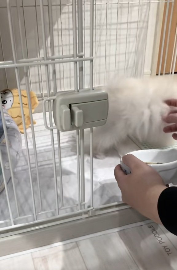 指でつつく飼い主さん