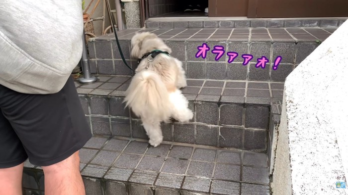 一生懸命階段を登って…