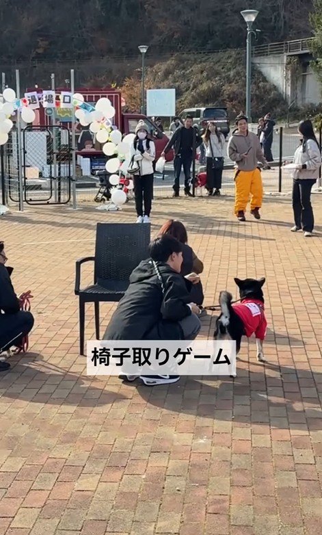 「椅子取りゲーム」は座る気ゼロで失格