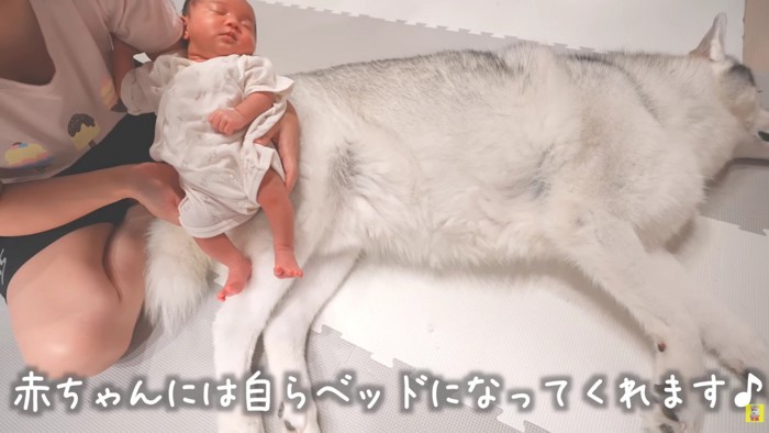 赤ちゃんなら全然平気だよ♡