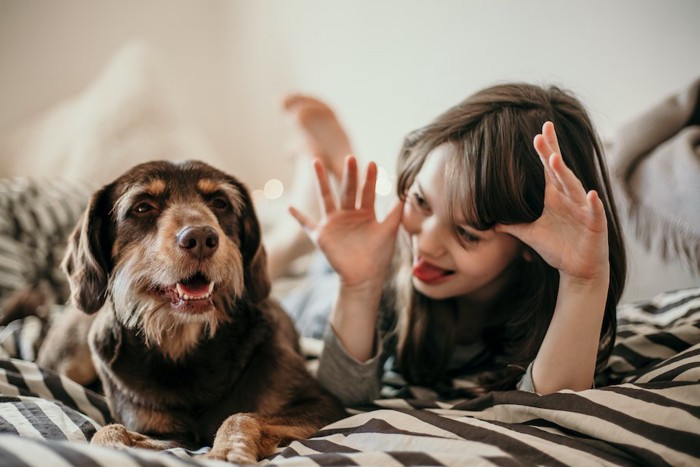 ベッドに寝転んで犬をからかう女性