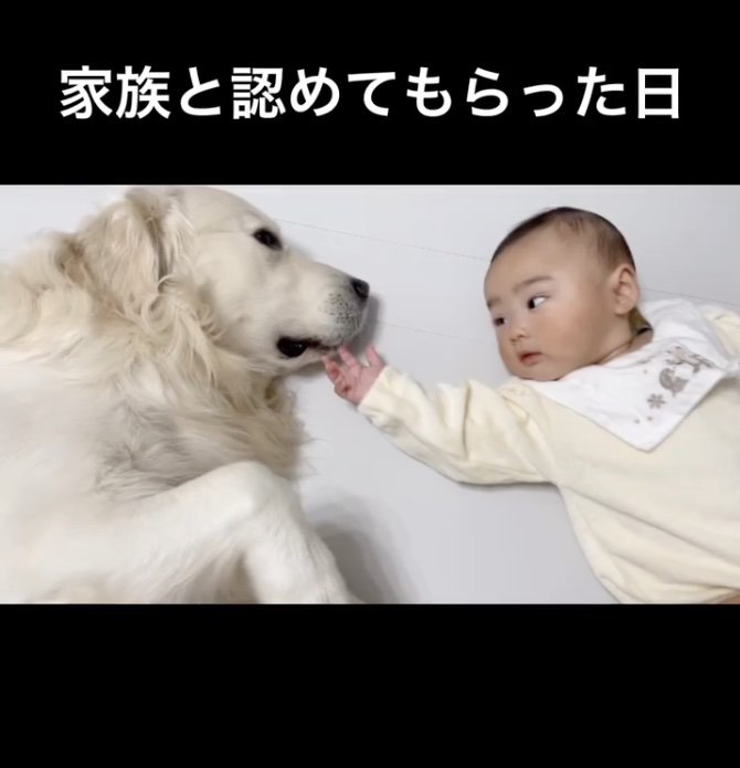 まったり…