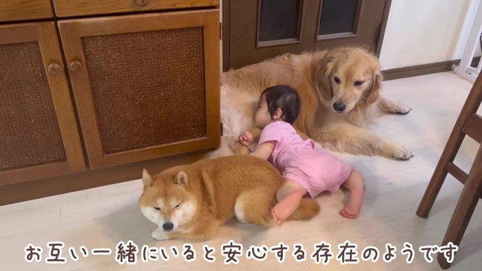 思わずホッコリ…