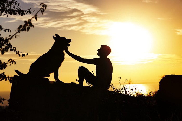 男性と犬のシルエット