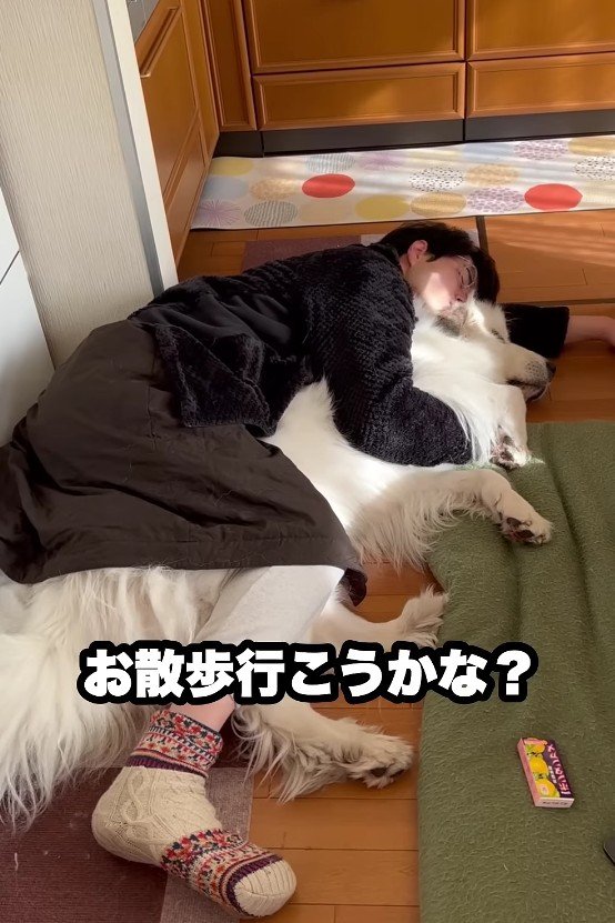 「お散歩行こうか」