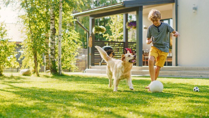 庭でサッカーをする男の子と犬