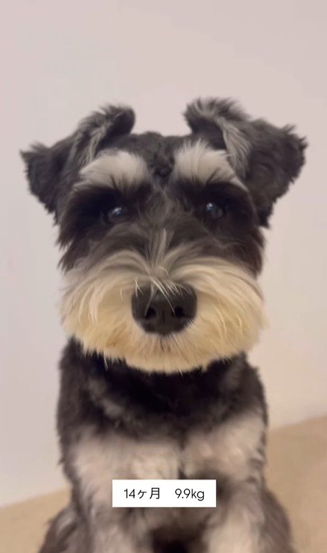 ボセくんの成長記録⑩