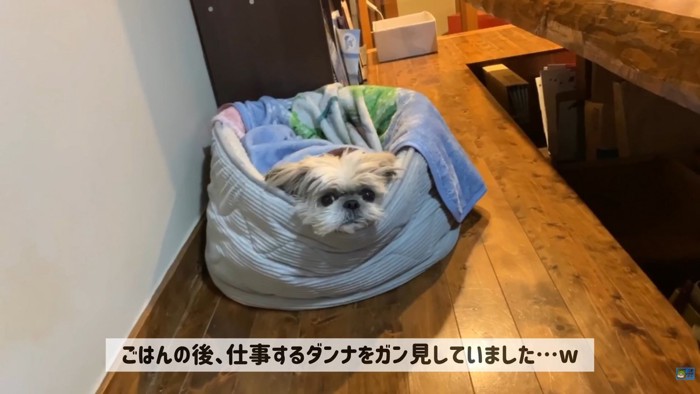 てんぽさんの熱烈歓迎9