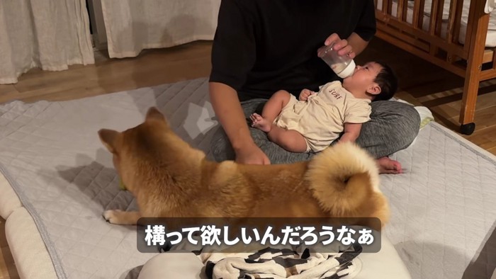 静かに見守ります