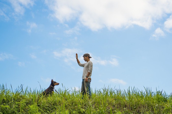 キャップをかぶっている飼い主さんとお坐りする大型犬