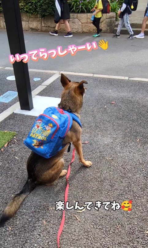 ドッグスクールに行くまる君⑩