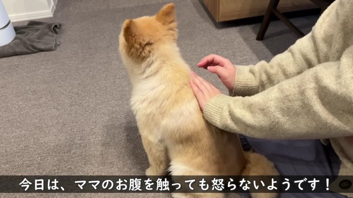 今日は大丈夫そう…！