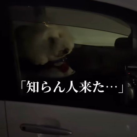 「知らない人が来た…」