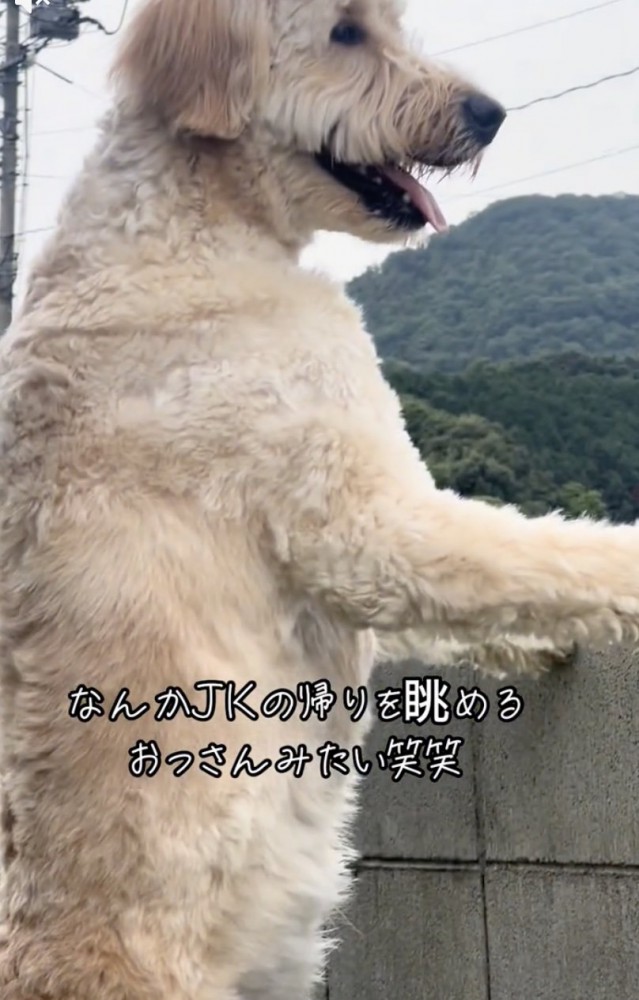 安全、守ってます!