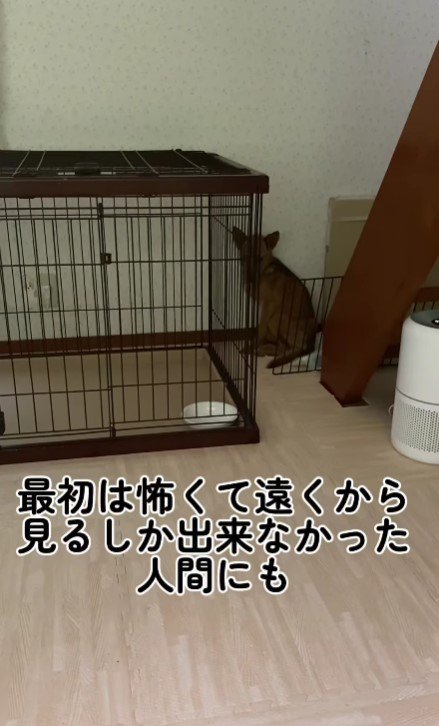 なかなか心を開かない