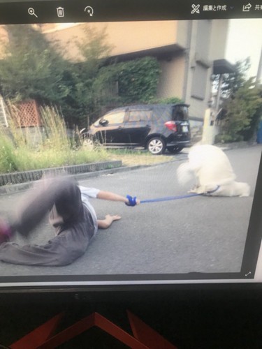 衝撃的な1枚