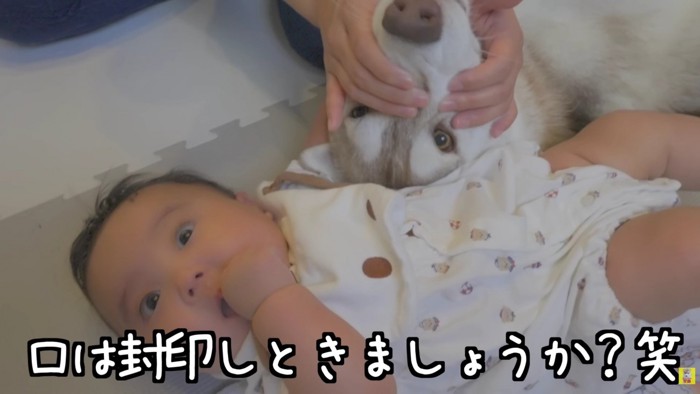 まだまだ勉強中だよ