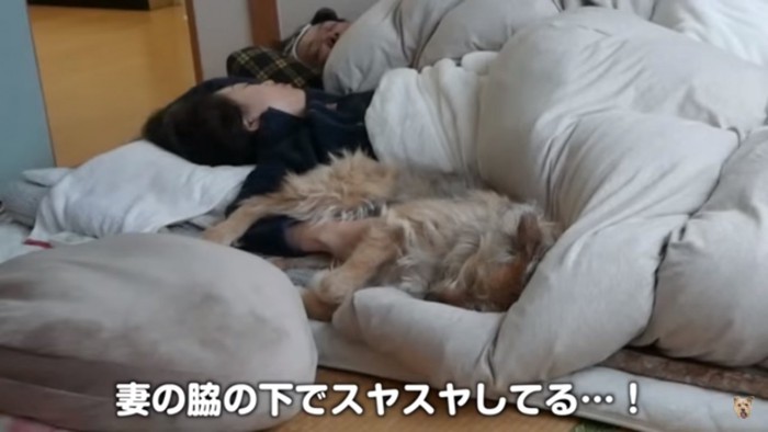 奥様の横で眠るポテちゃん