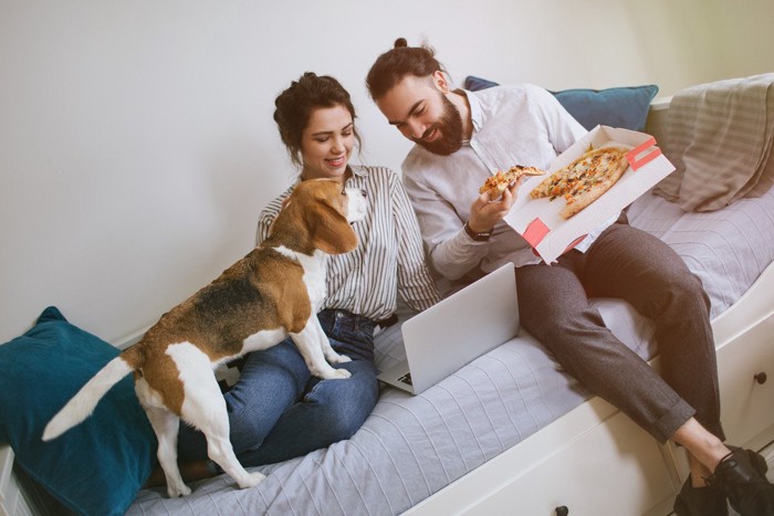 男女のもつピザに興味しんしんな犬