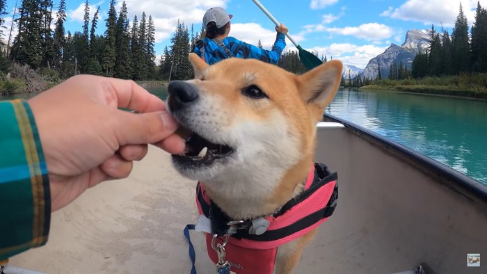 おやつを食べるナラちゃん