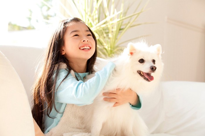 犬と少女