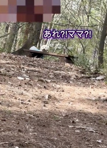 一瞬フリーズ!