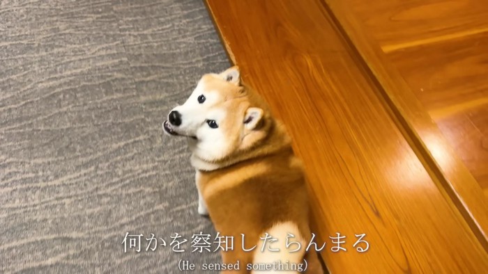 「…？」