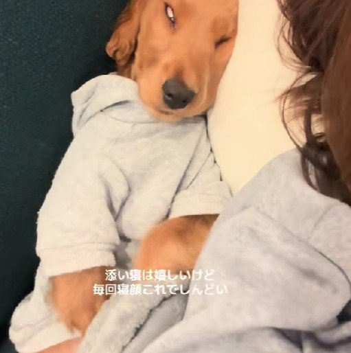 覗き込んでみると…