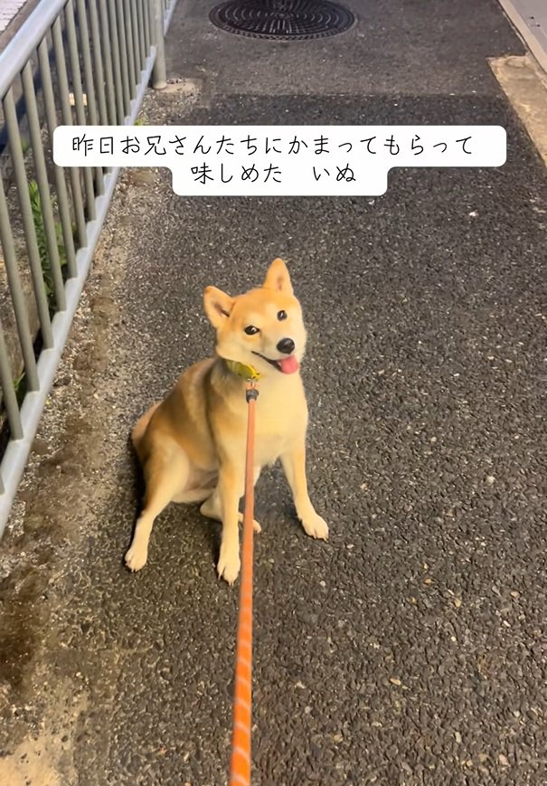 期待しているもっぴちゃん