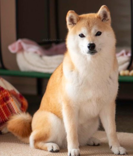 凛々しい