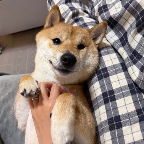 甘えん坊