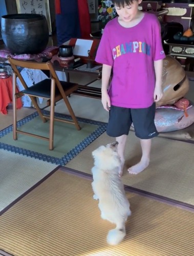 人の前にいる犬
