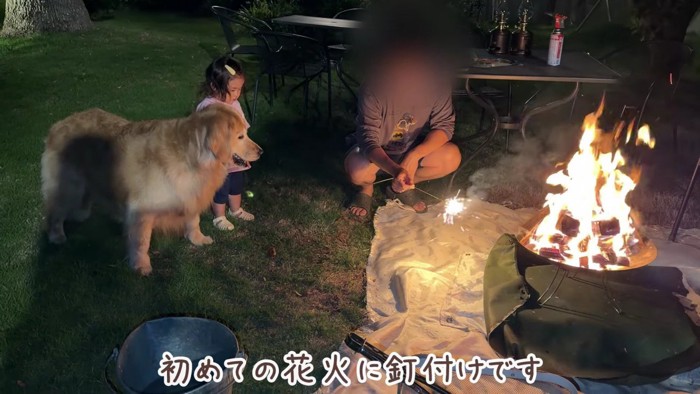 幸せな旅行の思い出…