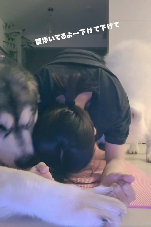 飼い主さんに潜り込むししまる君