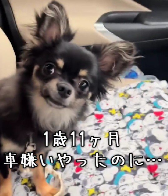 昔のだんくんは…