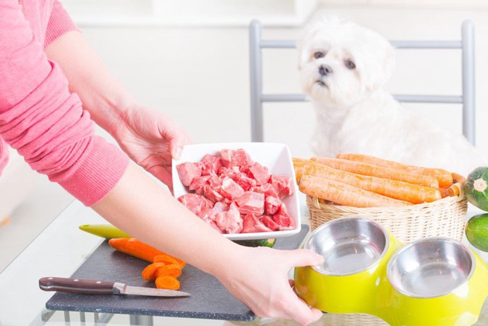 食事の支度をする飼い主の手と犬 