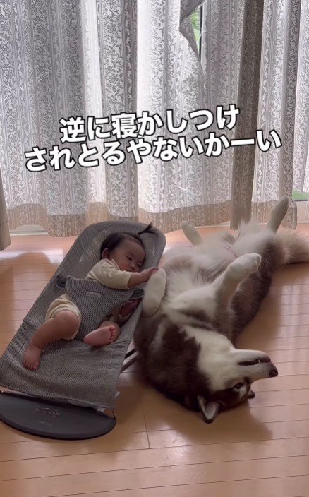 どっちが赤ちゃん!?