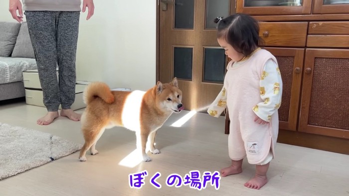 またまた争奪戦が…