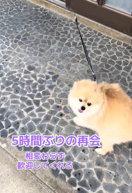 何度も回って大歓迎！