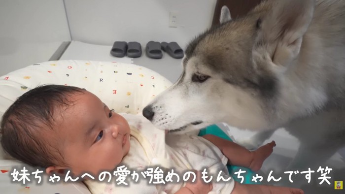 優しさ溢れる触れ合いにホッコリ