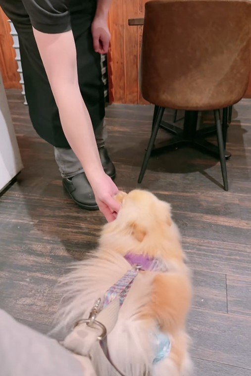 撫でてくれました♪