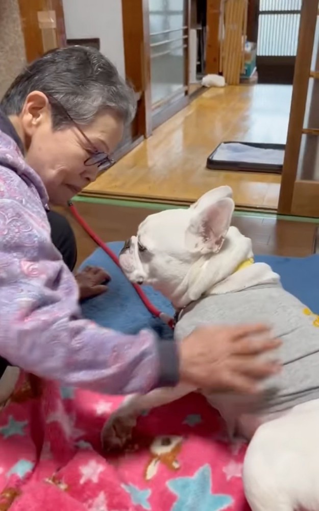 犬の背中を撫でる