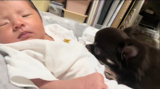 お腹にあご乗せ