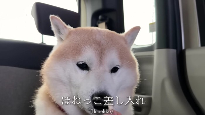 「骨っ子いらない…」