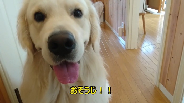 わざと無視しているようです