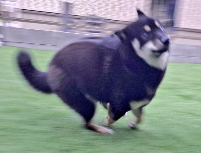 アニメの