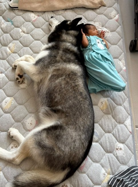赤ちゃんに寄り添うレイルちゃん