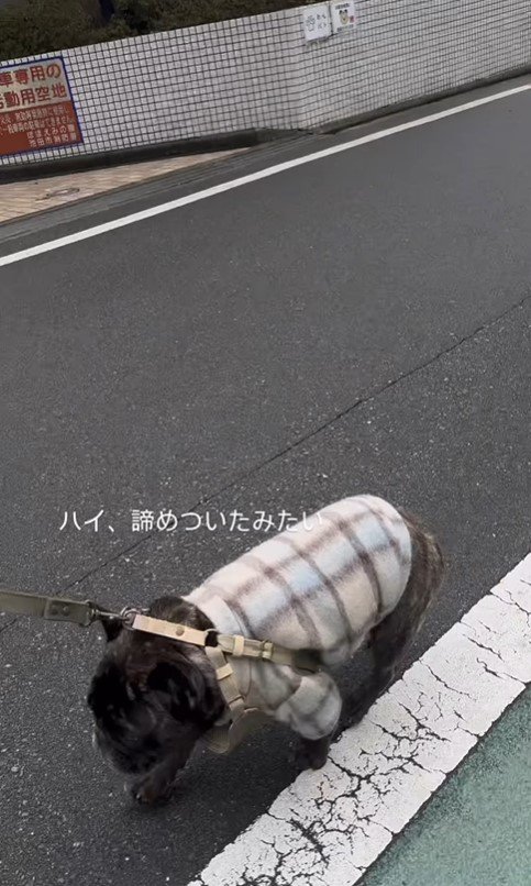 コンビニに向かうメルちゃん4