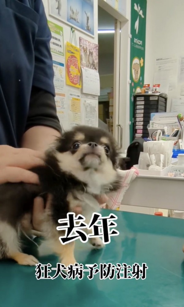 かえりたい…
