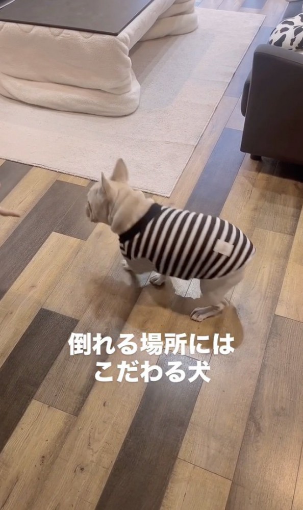スッ…